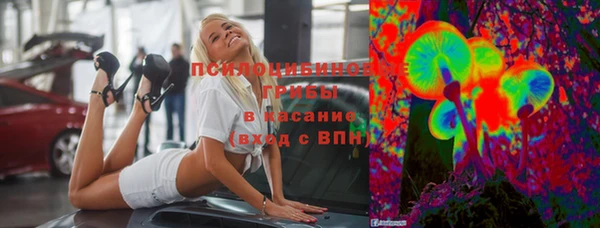 ПСИЛОЦИБИНОВЫЕ ГРИБЫ Карталы