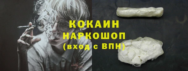 ПСИЛОЦИБИНОВЫЕ ГРИБЫ Карталы