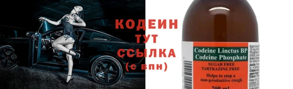 сатива Карпинск