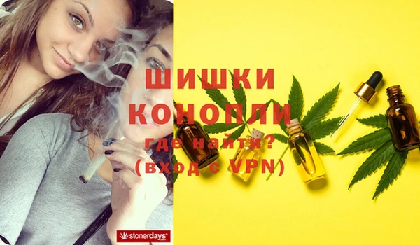 сатива Карпинск