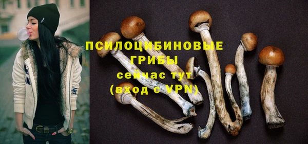 ECSTASY Козловка